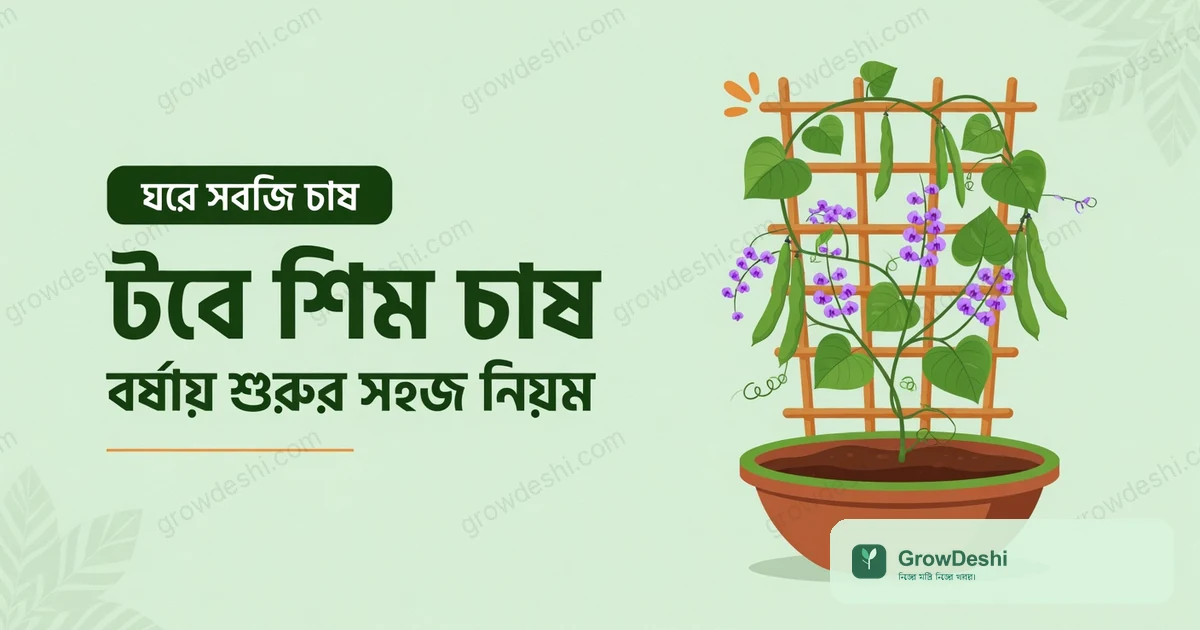 টবে শিম চাষ পদ্ধতি: বর্ষায় বীজ থেকে ফসল পর্যন্ত পূর্ণ গাইড