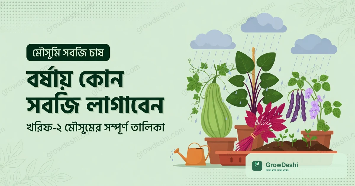 বর্ষাকালীন সবজি চাষ: খরিফ-২ মৌসুমে কী লাগাবেন (সম্পূর্ণ গাইড)