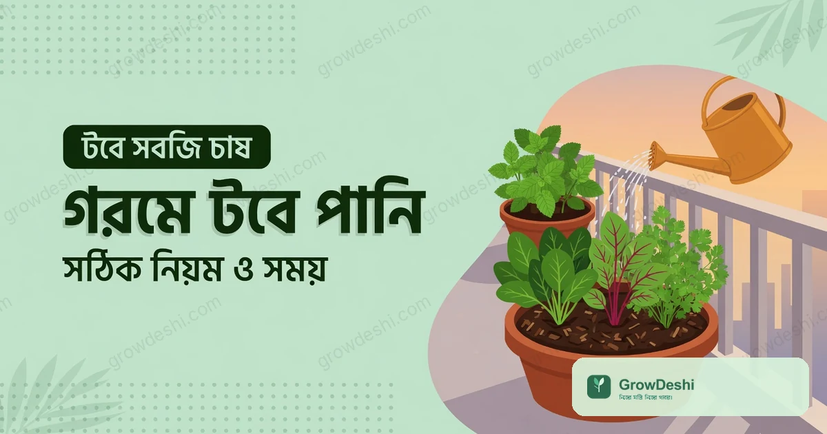 গরমে টবে পানি দেওয়া: গ্রীষ্মে সবজি বাঁচানোর সহজ নিয়ম