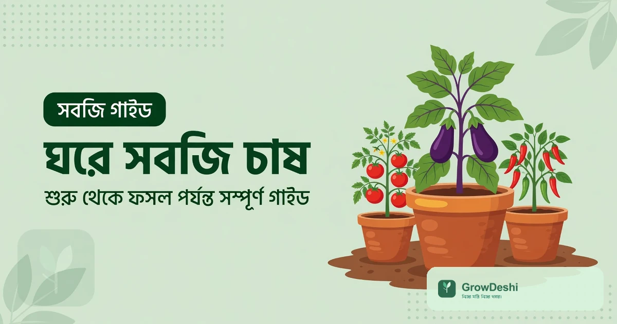 ঘরে সবজি চাষ: শুরু থেকে ফসল পর্যন্ত সম্পূর্ণ গাইড