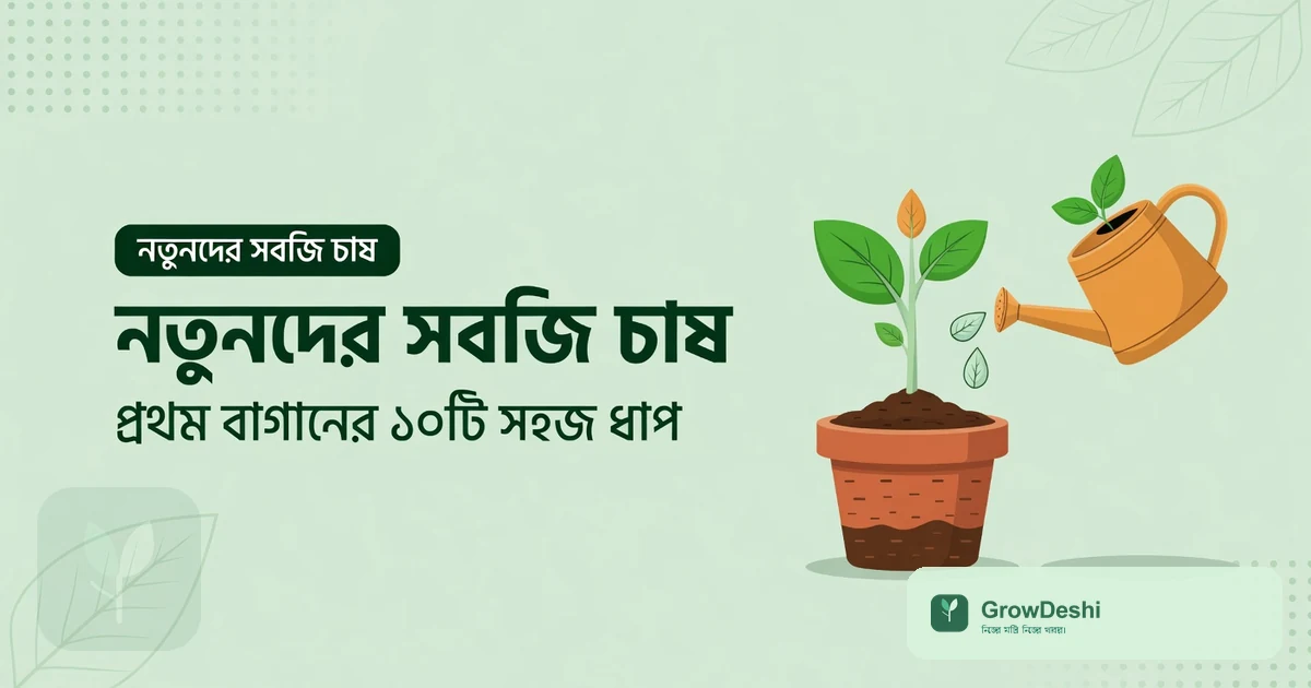 নতুনদের সবজি চাষ: প্রথম বাগানের ১০টি সহজ ধাপ