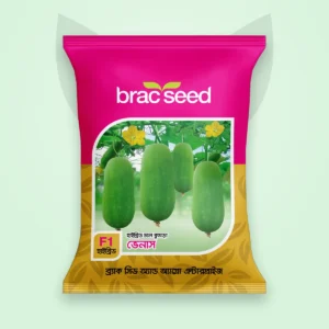 চাল কুমড়া বীজ — ভেনাস | BRAC Ash Gourd F1 Seed