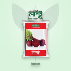 বিটরুট হাইব্রিড বীজ — লালটু (Beetroot F1 Seed)