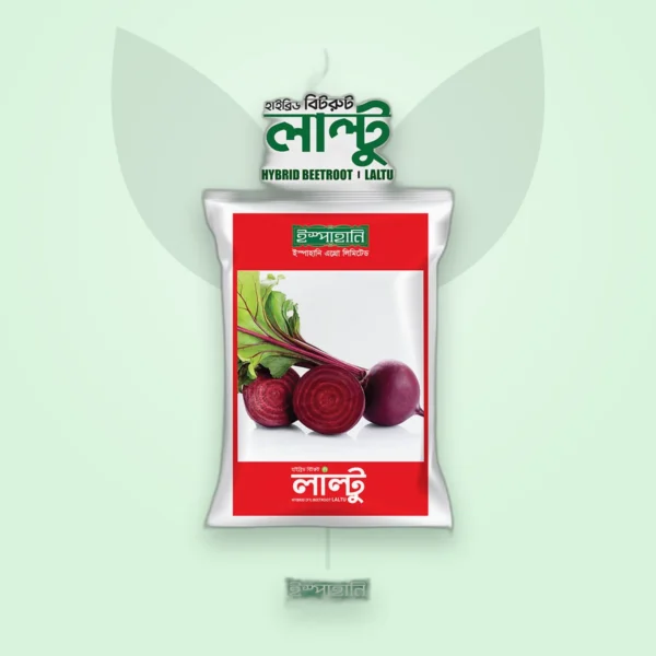 বিটরুট হাইব্রিড বীজ — লালটু (Beetroot F1 Seed)