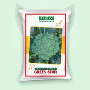 ব্রকলি হাইব্রিড বীজ — গ্রিন স্টার (Broccoli F1 Seed)