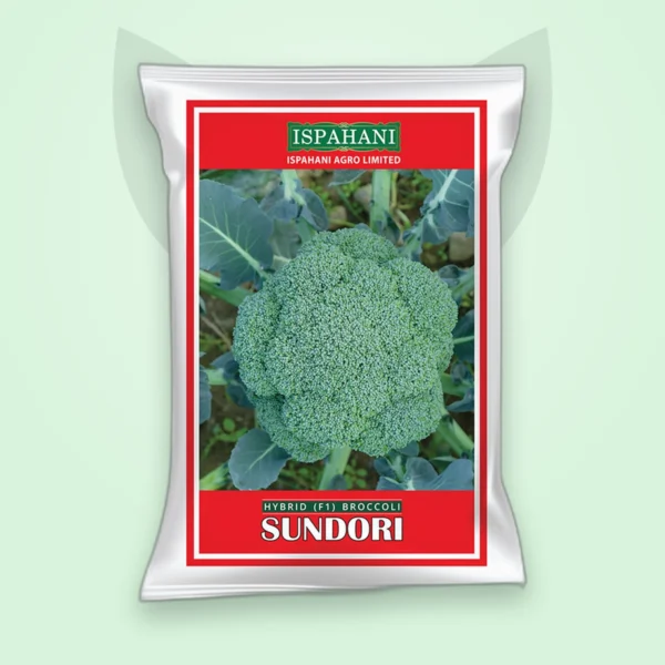 ব্রকলি হাইব্রিড বীজ — সুন্দরী (Broccoli F1 Seed)