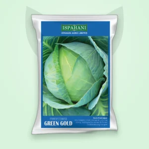 বাঁধাকপি হাইব্রিড বীজ — গ্রিন গোল্ড (Cabbage F1 Seed)