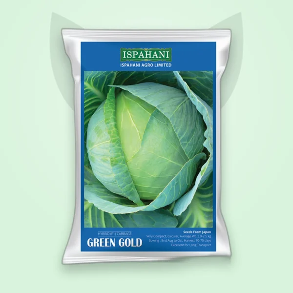 বাঁধাকপি হাইব্রিড বীজ — গ্রিন গোল্ড (Cabbage F1 Seed)