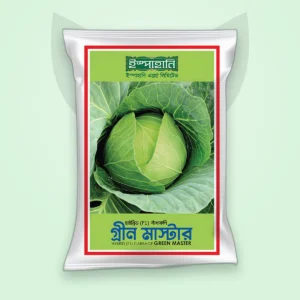 বাঁধাকপি হাইব্রিড বীজ — গ্রিন মাস্টার (Cabbage F1 Seed)