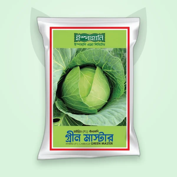বাঁধাকপি হাইব্রিড বীজ — গ্রিন মাস্টার (Cabbage F1 Seed)