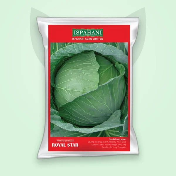 বাঁধাকপি হাইব্রিড বীজ — রয়েল স্টার (Cabbage F1 Seed)