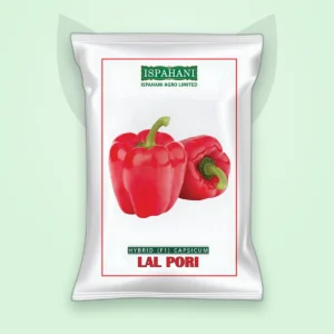 ক্যাপসিকাম হাইব্রিড বীজ — লাল পরী (Capsicum F1 Seed)