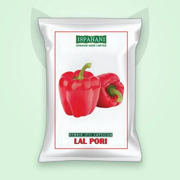 ক্যাপসিকাম হাইব্রিড বীজ — লাল পরী (Capsicum F1 Seed)