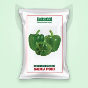 ক্যাপসিকাম হাইব্রিড বীজ — সবুজ পরী (Capsicum F1 Seed)