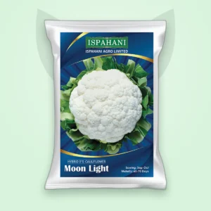 ফুলকপি হাইব্রিড বীজ — মুন লাইট (Cauliflower F1 Seed)