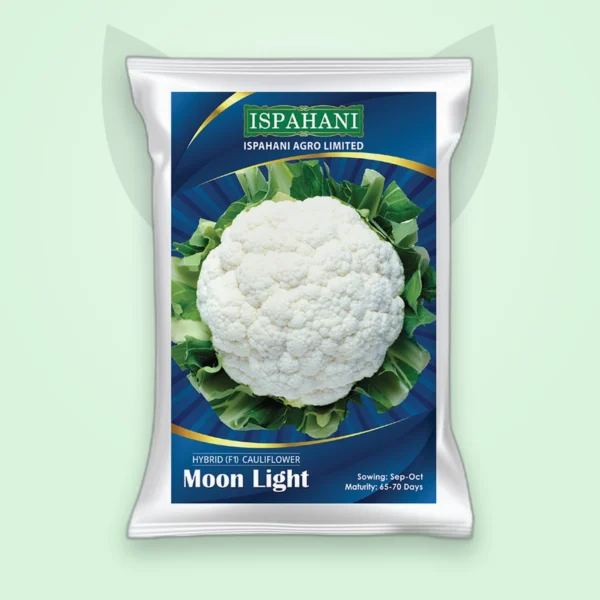 ফুলকপি হাইব্রিড বীজ — মুন লাইট (Cauliflower F1 Seed)