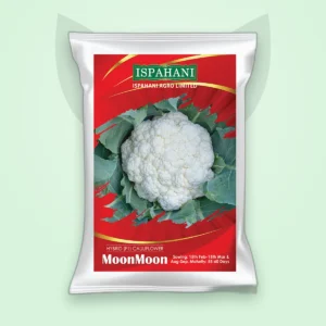 ফুলকপি হাইব্রিড বীজ — মুনমুন (Cauliflower F1 Seed)