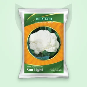 ফুলকপি হাইব্রিড বীজ — সান লাইট (Cauliflower F1 Seed)