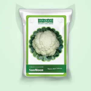 ফুলকপি হাইব্রিড বীজ — সানমুন (Cauliflower F1 Seed)