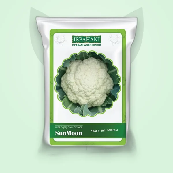 ফুলকপি হাইব্রিড বীজ — সানমুন (Cauliflower F1 Seed)