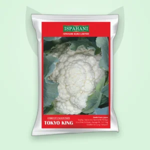 ফুলকপি হাইব্রিড বীজ — টোকিও কিং (Cauliflower F1 Seed)