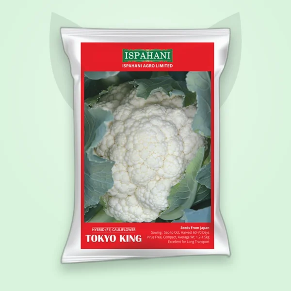 ফুলকপি হাইব্রিড বীজ — টোকিও কিং (Cauliflower F1 Seed)
