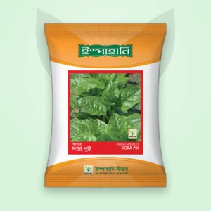 পুঁই শাক বীজ — ডোরা পুঁই (Indian Spinach Seed)