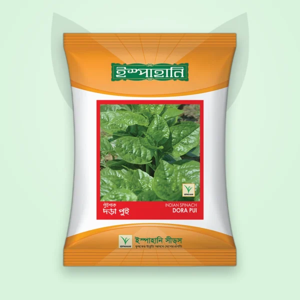 পুঁই শাক বীজ — ডোরা পুঁই (Indian Spinach Seed)