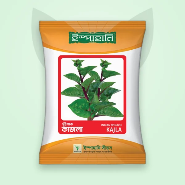 পুঁই শাক বীজ — কাজলা (Indian Spinach Seed)