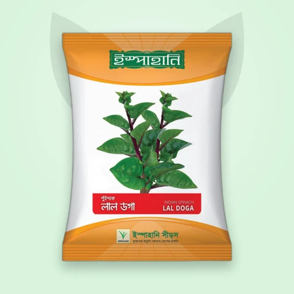 পুঁই শাক বীজ — লাল ডোগা (Indian Spinach Seed)