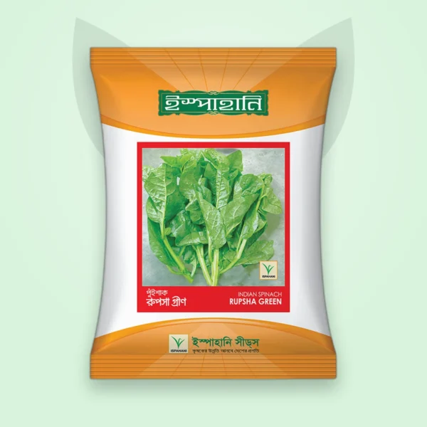 পুঁই শাক বীজ — রূপসা গ্রিন (Indian Spinach Seed)