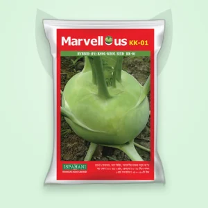 ওলকপি হাইব্রিড বীজ — KK-01 (Knol Khol F1 Seed)