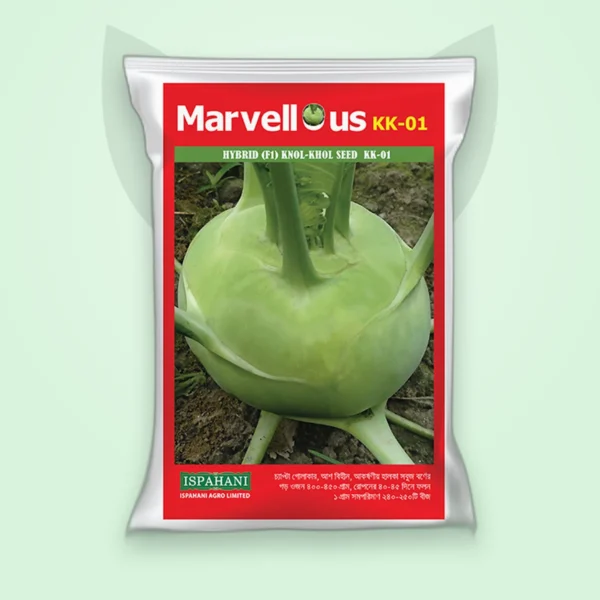 ওলকপি হাইব্রিড বীজ — KK-01 (Knol Khol F1 Seed)