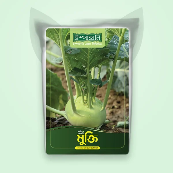 ওলকপি হাইব্রিড বীজ — মুক্তি (Knol Khol F1 Seed)