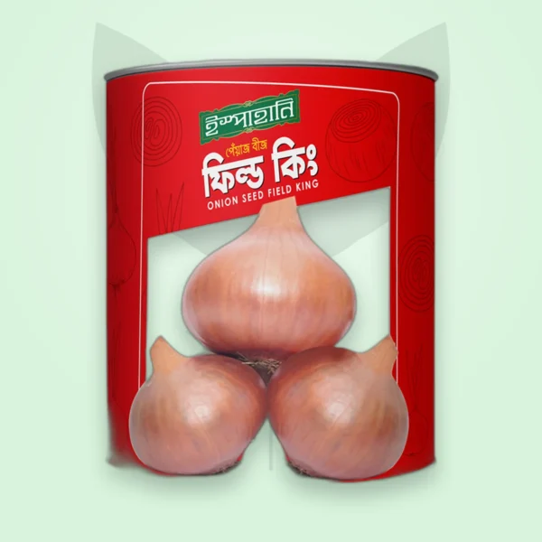 পেঁয়াজ বীজ — ফিল্ড কিং (Onion Seed)