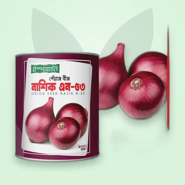 পেঁয়াজ বীজ — নাসিক N-53 (Onion Seed)