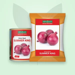 পেঁয়াজ বীজ — সামার কিং (Onion Seed)