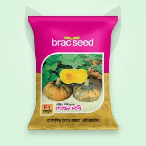 মিষ্টি কুমড়া বীজ — গোল্ডেন বেবি | BRAC Pumpkin F1 Seed
