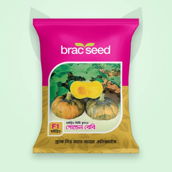 মিষ্টি কুমড়া বীজ — গোল্ডেন বেবি | BRAC Pumpkin F1 Seed