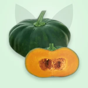 মিষ্টি কুমড়া বীজ — শাফি | BRAC Pumpkin F1 Seed