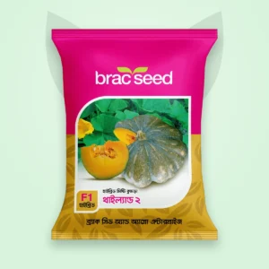 মিষ্টি কুমড়া বীজ — থাইল্যান্ড ২ | BRAC Pumpkin F1 Seed