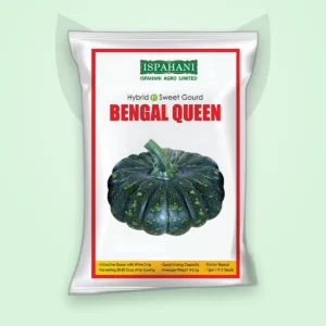 মিষ্টি কুমড়া হাইব্রিড বীজ — বেঙ্গল কুইন (Sweet Gourd F1 Seed)