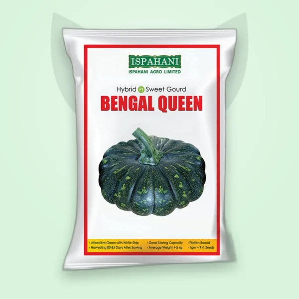 মিষ্টি কুমড়া হাইব্রিড বীজ — বেঙ্গল কুইন (Sweet Gourd F1 Seed)