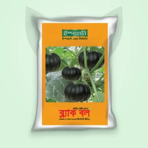 মিষ্টি কুমড়া হাইব্রিড বীজ — ব্ল্যাক বল (Sweet Gourd F1 Seed)