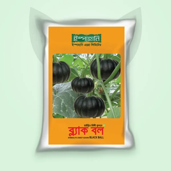 মিষ্টি কুমড়া হাইব্রিড বীজ — ব্ল্যাক বল (Sweet Gourd F1 Seed)
