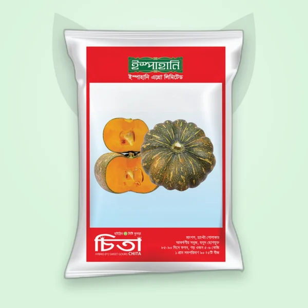 মিষ্টি কুমড়া হাইব্রিড বীজ — চিতা (Sweet Gourd F1 Seed)