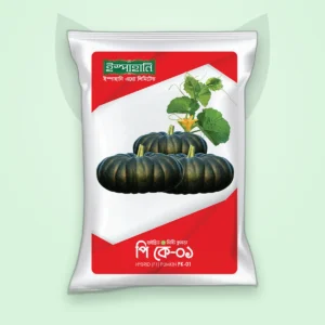 মিষ্টি কুমড়া হাইব্রিড বীজ — PK-01 (Sweet Gourd F1 Seed)