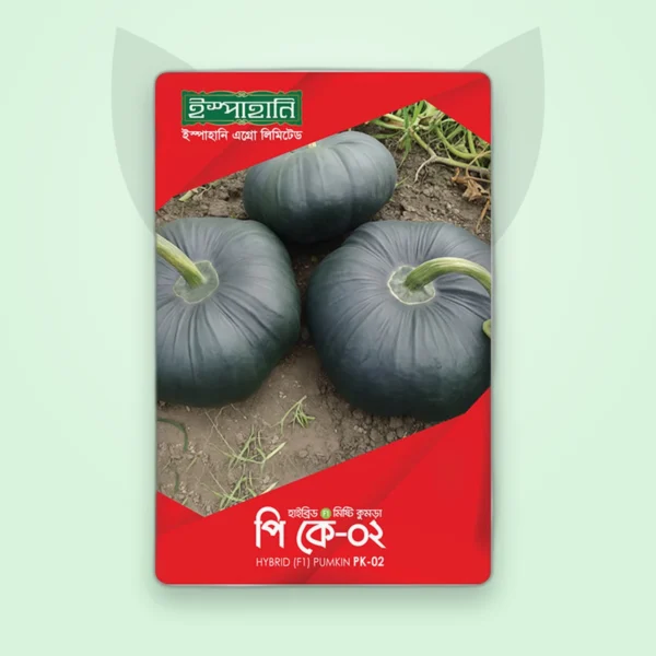 মিষ্টি কুমড়া হাইব্রিড বীজ — PK-02 (Sweet Gourd F1 Seed)