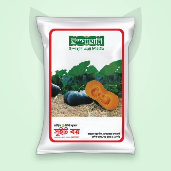 মিষ্টি কুমড়া হাইব্রিড বীজ — সুইট বয় (Sweet Gourd F1 Seed)