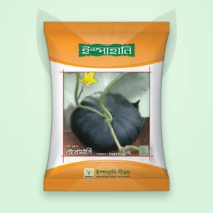 মিষ্টি কুমড়া বীজ — বারোমাসি (কালো) (Sweet Gourd Seed)